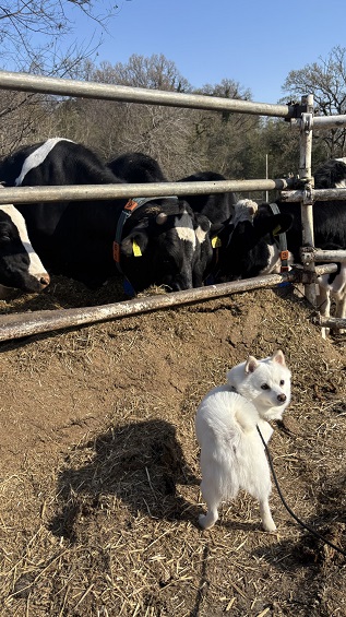 ディーキャリア大宮オフィスの職員を紹介する画像