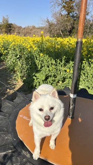 ディーキャリア大宮オフィスの職員を紹介する画像