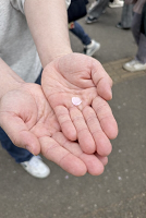 ディーキャリア大宮_大宮駅_就労移行支援事業所_花見の画像